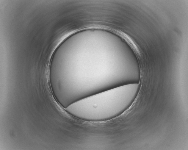 X0000116601244200912110933