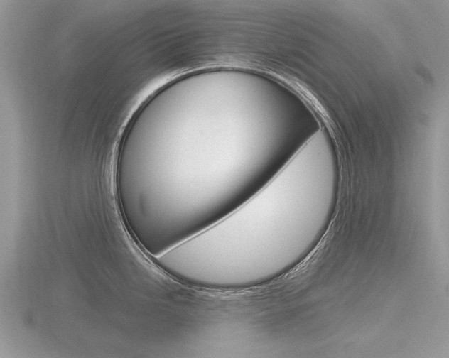 X0000116601246200912110933