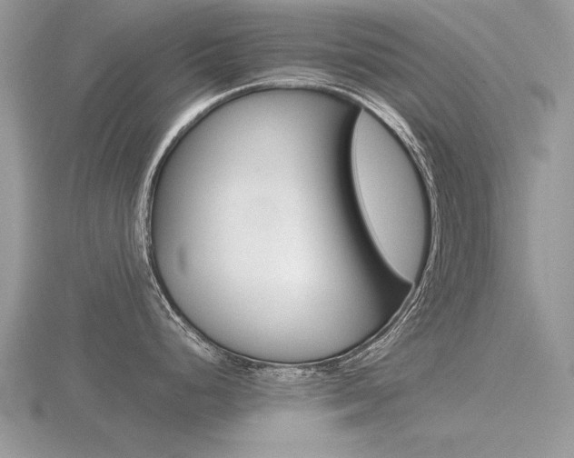 X0000116601248200912110933