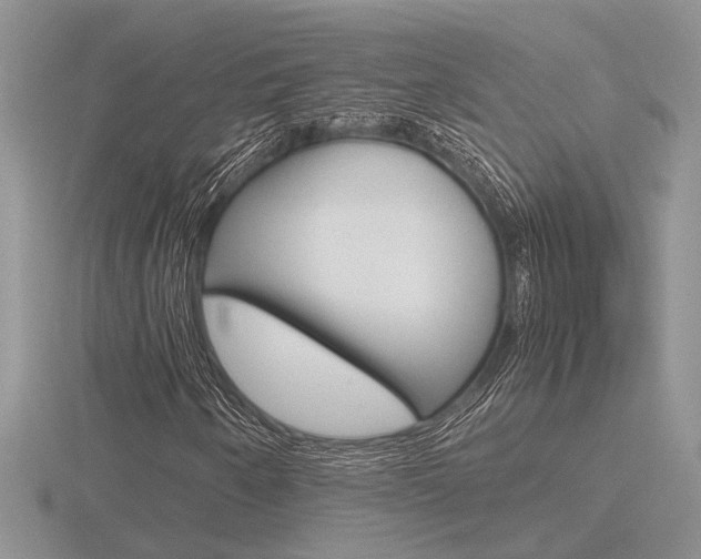 X0000116601250200912110932