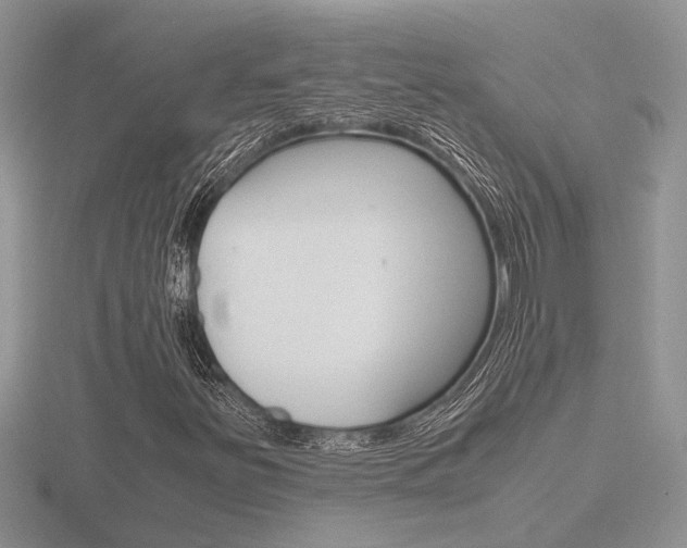 X0000116601251200912110932