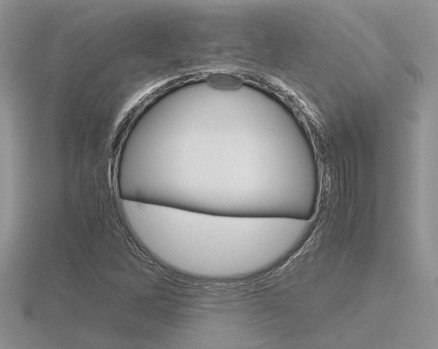 X0000116601262200912110932