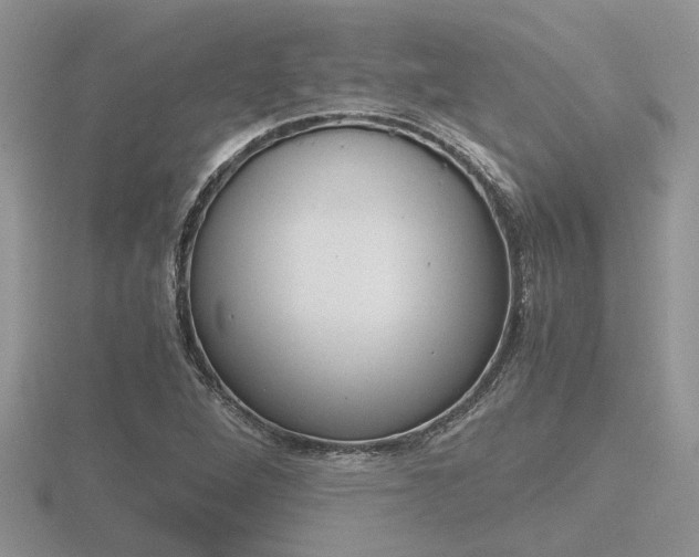 X0000116601264200912110932