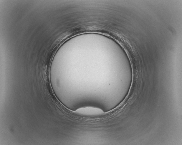 X0000116601265200912110932