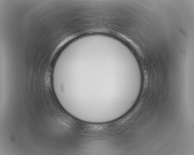X0000116601266200912110932