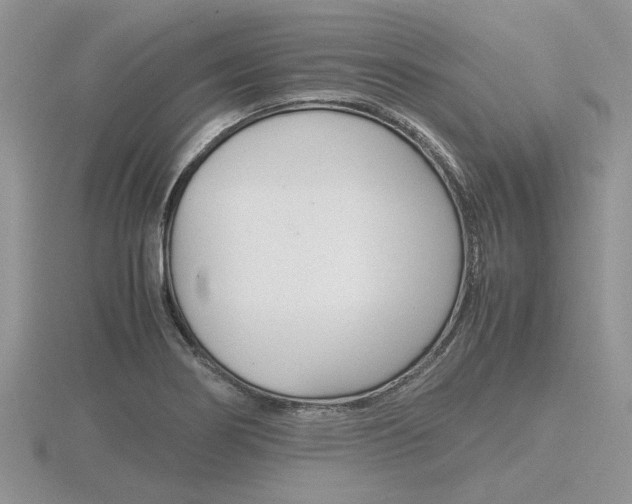 X0000116601274200912110932