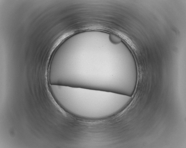 X0000116601282200912110932