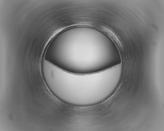 X0000116601284200912110932