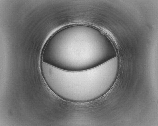 X0000116601288200912110932