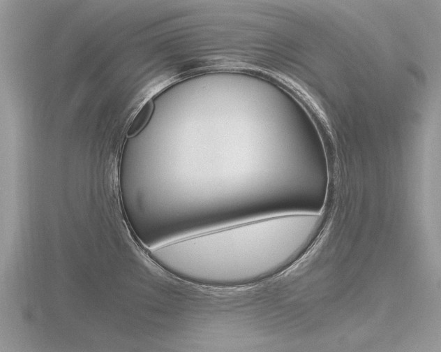 X0000116601289200912110932