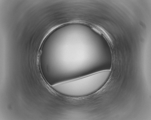 X0000116601292200912110932
