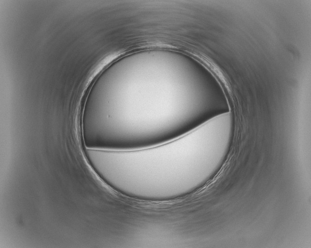 X0000116601293200912110932