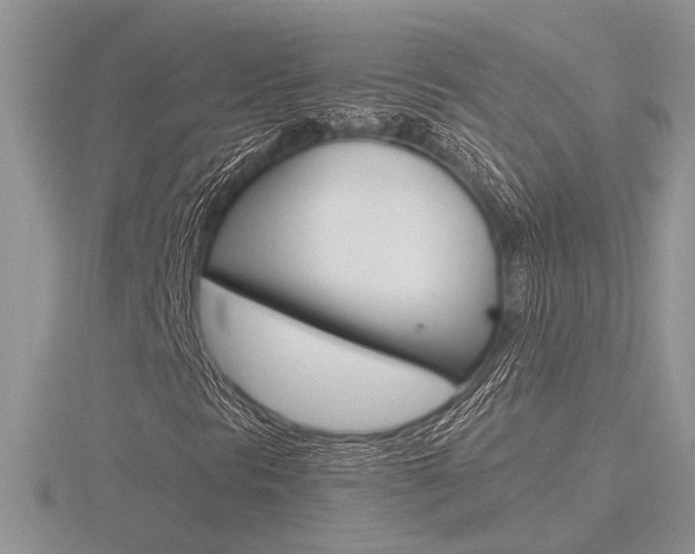 X0000116601297200912110931
