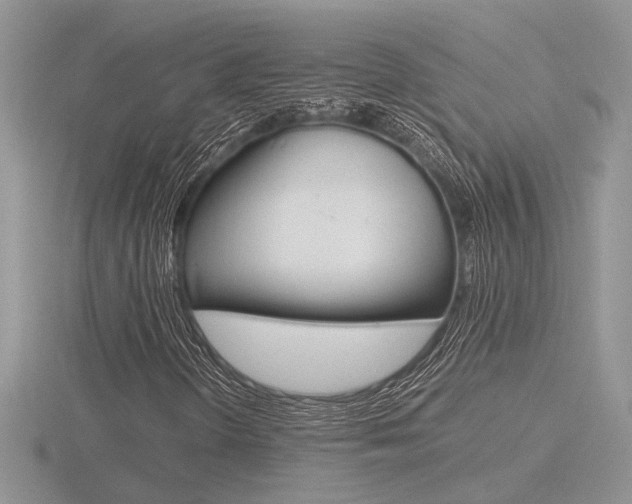 X0000116601298200912110931