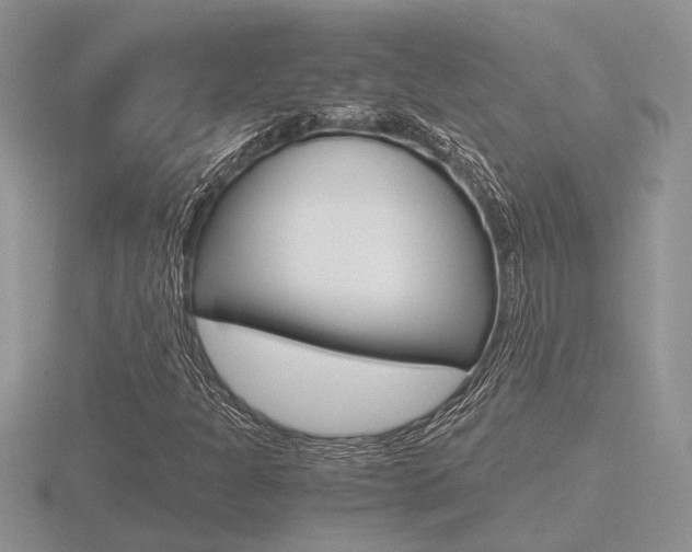 X0000116601301200912110931