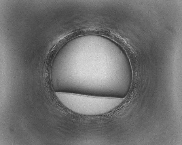 X0000116601303200912110931