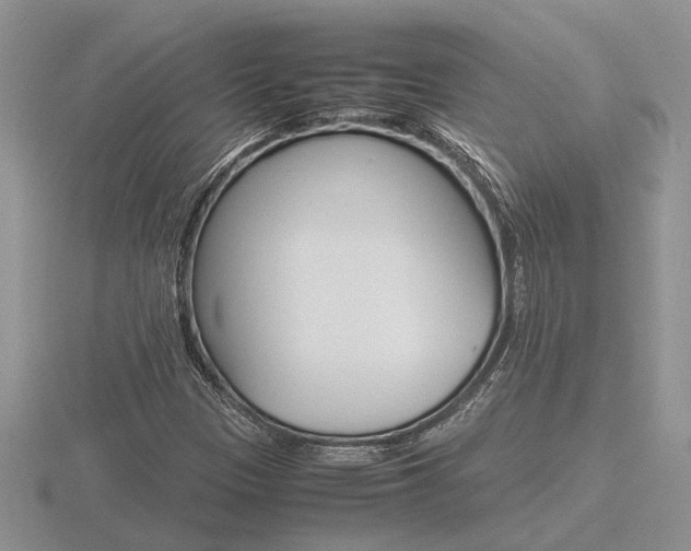 X0000116601305200912110931