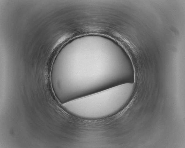 X0000116601306200912110931