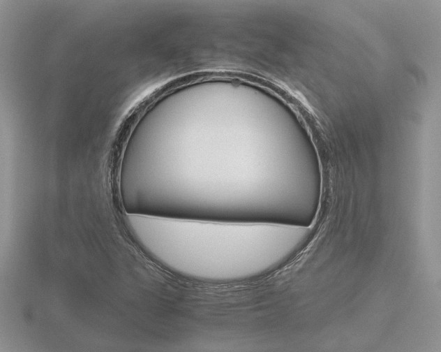 X0000116601311200912110931