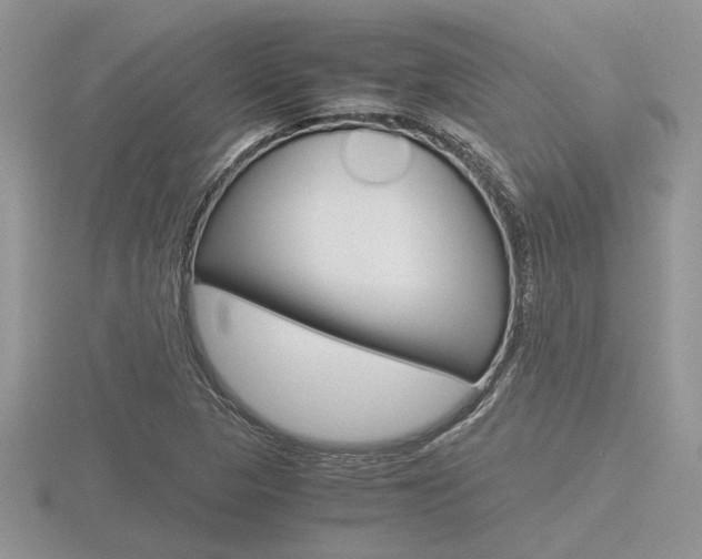 X0000116601313200912110931