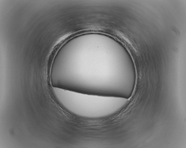 X0000116601315200912110931