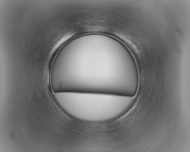 X0000116601317200912110931