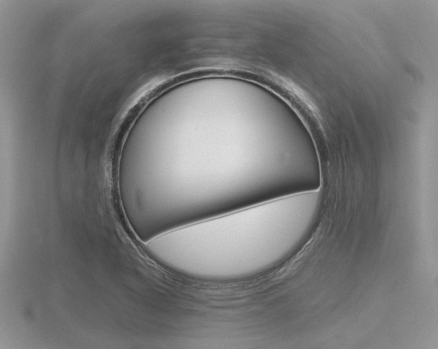 X0000116601318200912110931