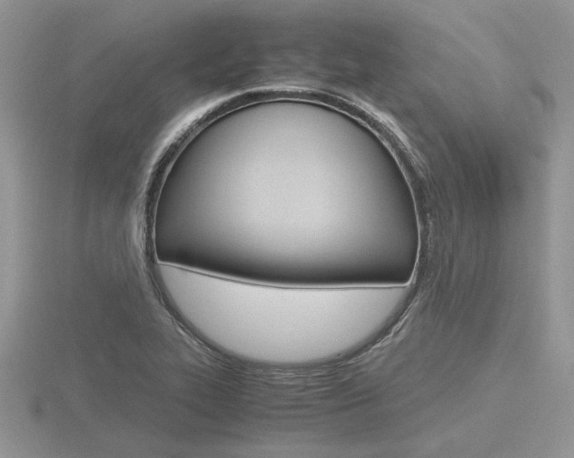 X0000116601319200912110931