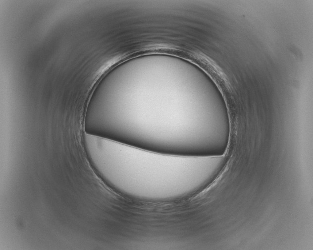 X0000116601321200912110931