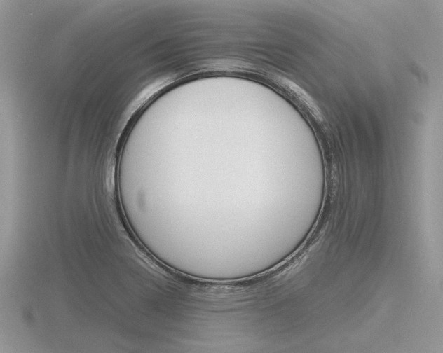X0000116601322200912110931