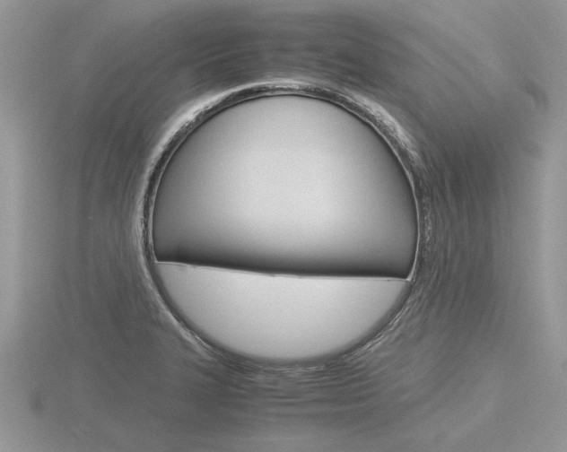 X0000116601327200912110931
