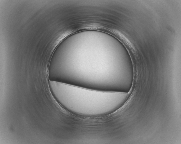 X0000116601329200912110931