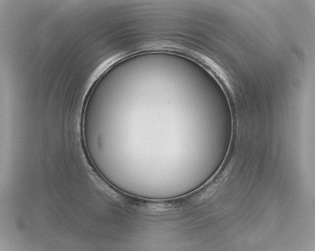 X0000116601330200912110931