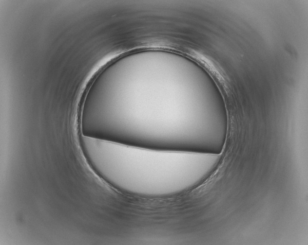 X0000116601331200912110931