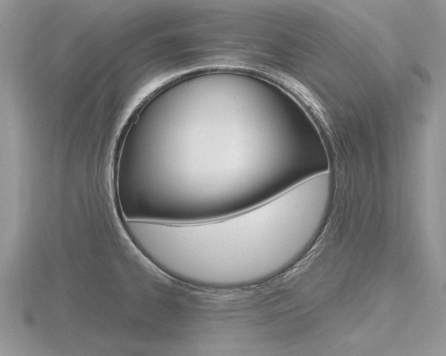 X0000116601334200912110931