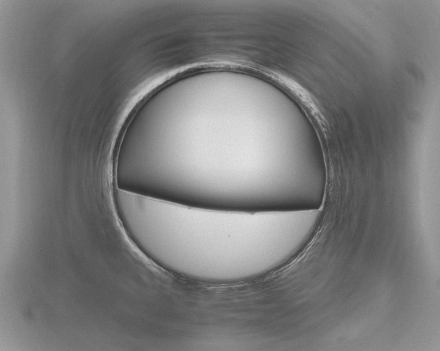 X0000116601335200912110931