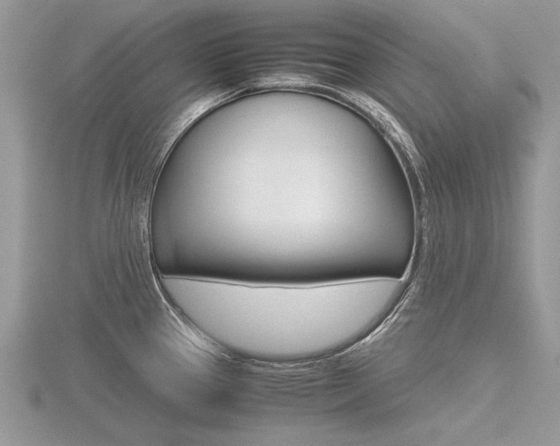 X0000116601337200912110931