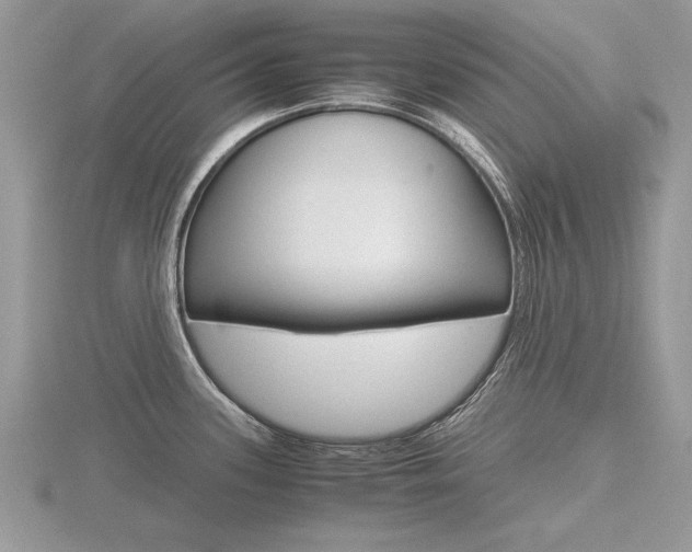 X0000116601339200912110931