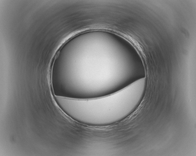 X0000116601342200912110931