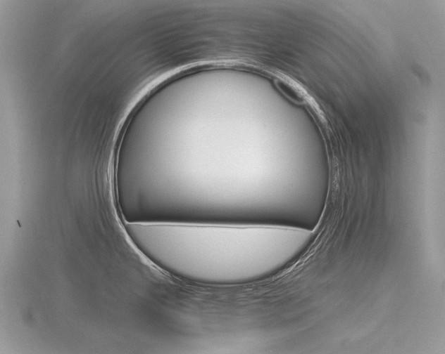 X0000116601343200912110931