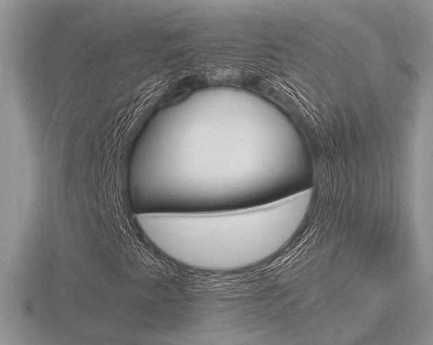 X0000116601345200912110931