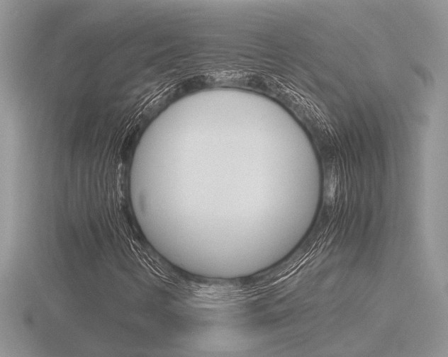 X0000116601346200912110931