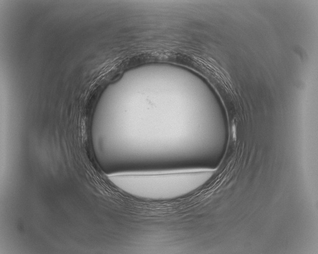 X0000116601347200912110931