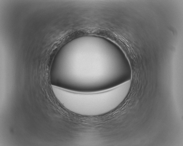 X0000116601349200912110931