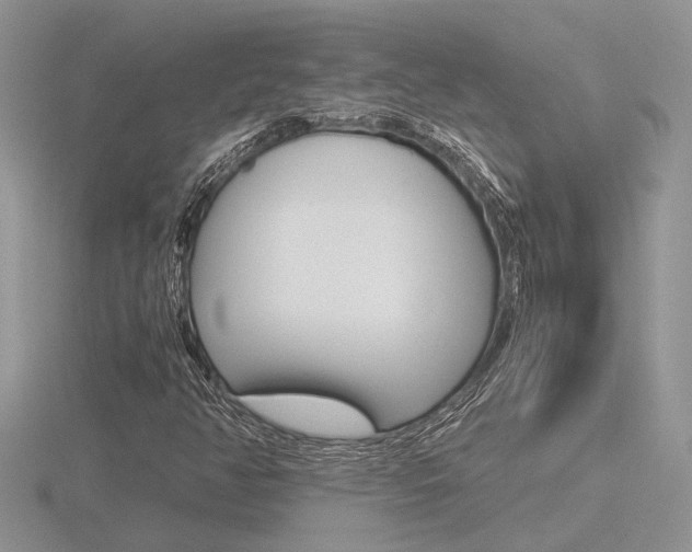 X0000116601350200912110931