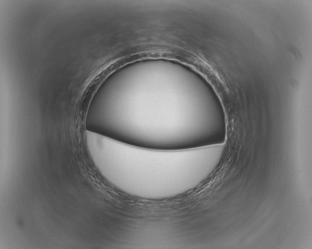 X0000116601352200912110931