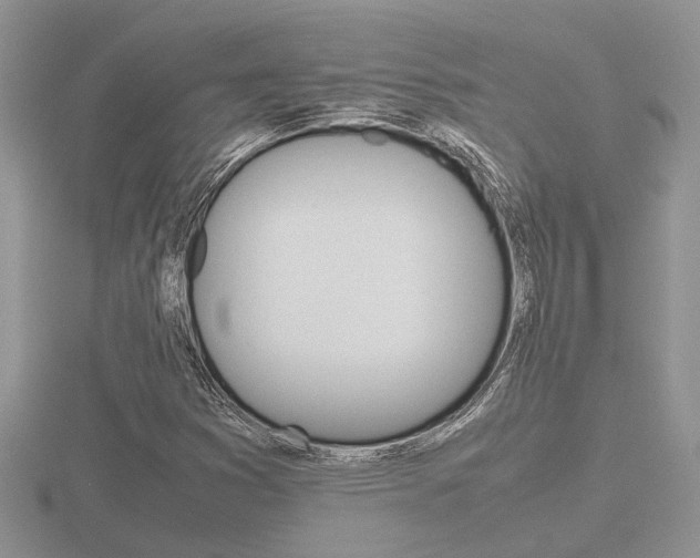 X0000116601353200912110931
