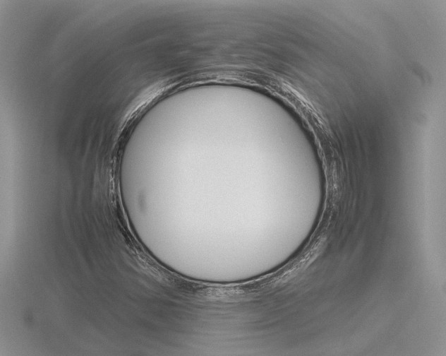 X0000116601354200912110931