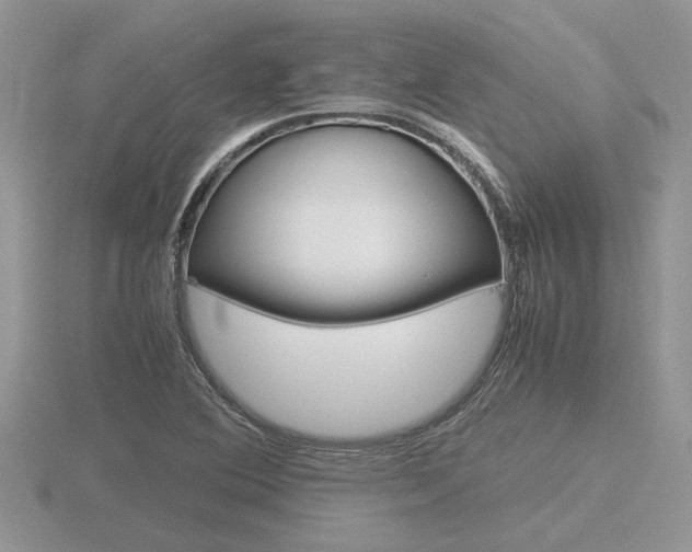 X0000116601364200912110931