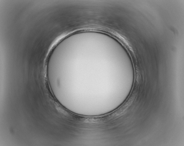X0000116601366200912110931